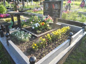 Ограда_927